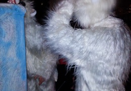 IMG 20150131 190854