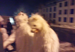 IMG 20150131 191659